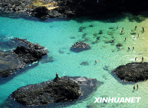 费尔南多—迪诺罗尼亚岛冰球突破游戏网站美